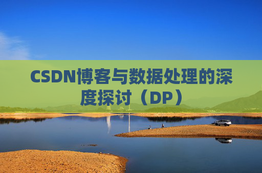 CSDN博客与数据处理的深度探讨（DP）